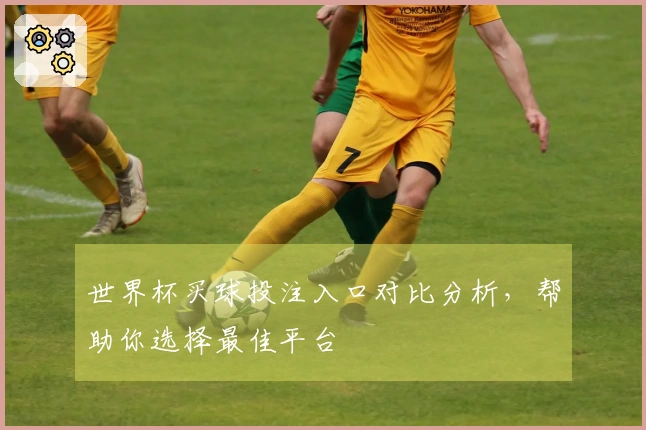 世界杯买球投注入口对比分析，帮助你选择最佳平台