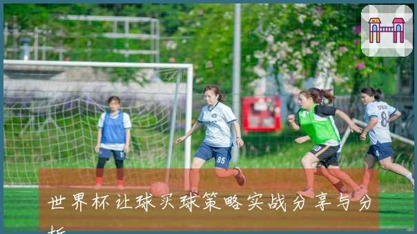 世界杯让球买球策略实战分享与分析