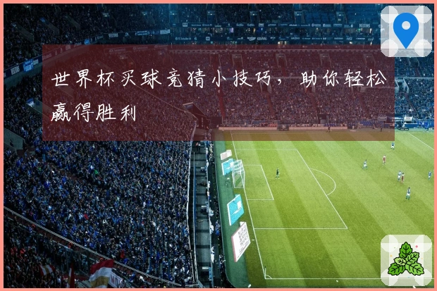 世界杯买球竞猜小技巧，助你轻松赢得胜利