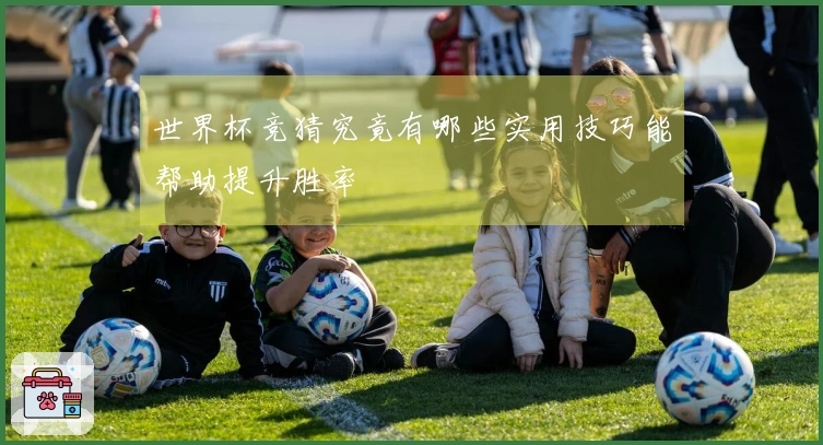世界杯竞猜究竟有哪些实用技巧能帮助提升胜率