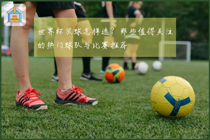 世界杯买球怎样选？那些值得关注的热门球队与比赛推荐