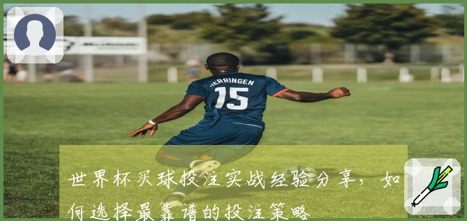 世界杯买球投注实战经验分享，如何选择最靠谱的投注策略