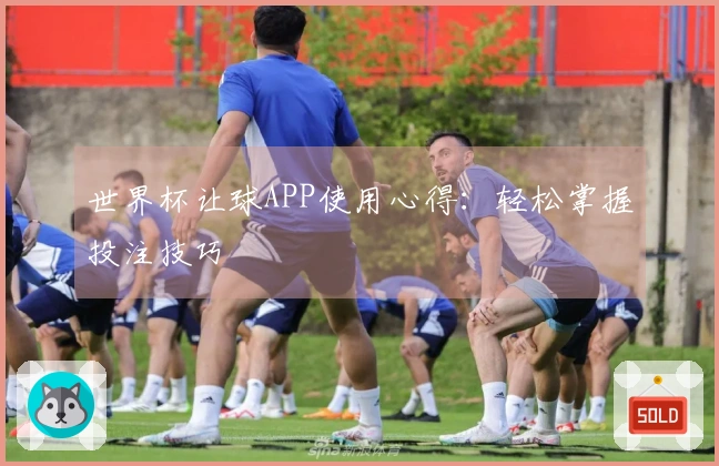 世界杯让球APP使用心得：轻松掌握投注技巧
