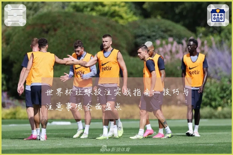 世界杯让球投注实战指南：技巧与注意事项全面盘点
