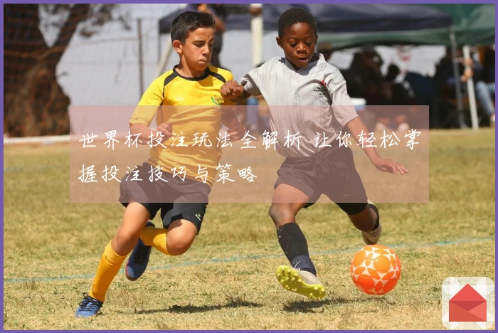 世界杯投注玩法全解析 让你轻松掌握投注技巧与策略