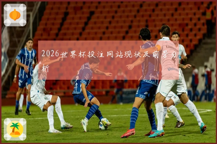 2026世界杯投注网站现状及前景分析
