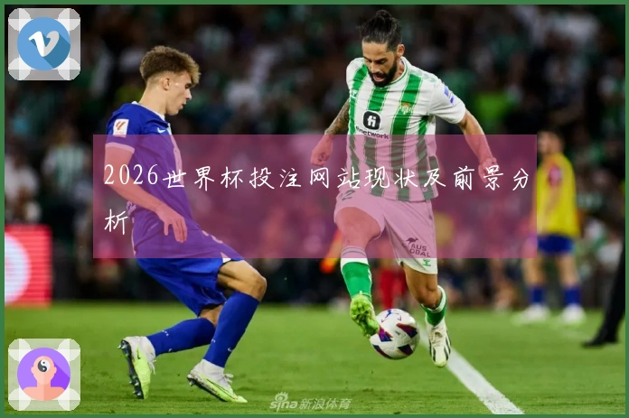 2026世界杯投注网站现状及前景分析