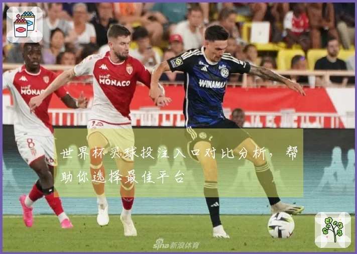 世界杯买球投注入口对比分析，帮助你选择最佳平台