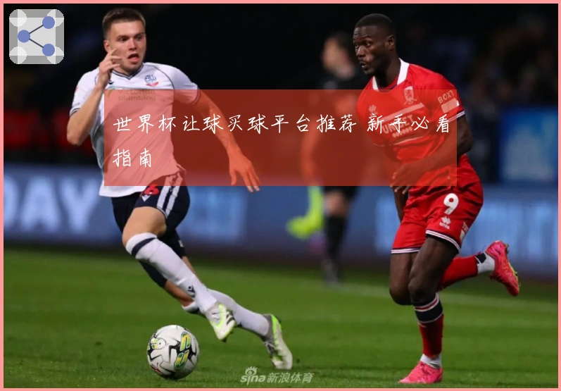 世界杯让球买球平台推荐 新手必看指南