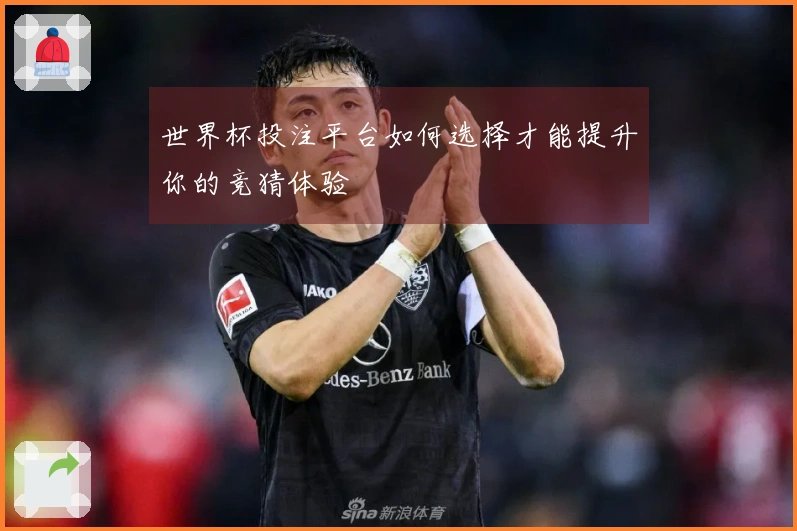 世界杯投注平台如何选择才能提升你的竞猜体验