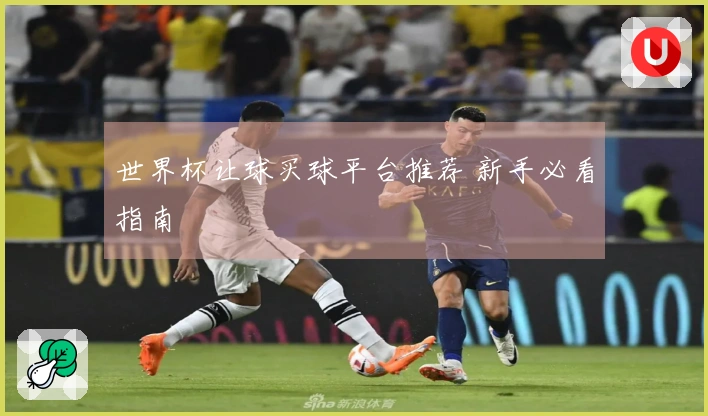 世界杯让球买球平台推荐 新手必看指南